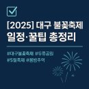 하나된우리 | [2025 대구 불꽃축제] 두류공원에서 만나는 밤하늘의 감동, 일정·꿀팁 총정리