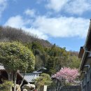 국제카서비스 | 일본 소도시 여행 마쓰야마 렌터카 이용 후기｜국제운전면허증 준비부터 운전까지
