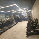 코코 필라테스 이미지