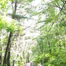 봉암어린이집 이미지