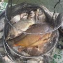 일신낚시터 이미지