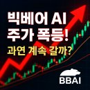 (주)빅베어 이미지