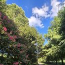 관방천편의점 이미지