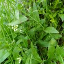 불광천6 이미지