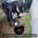 청춘청소방역 이미지
