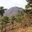 토골2 이미지