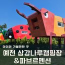 풍양면사무소 | 경북예천 삼강나루캠핑장&amp;파브르펜션 사슴벌레방 후기(사이트정보O)