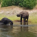 오대양육대주 이미지