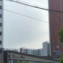 신곡사우나 | 수원 매교역 팰루시드 아파트 사전점검 후기