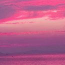 사랑채펜션 이미지