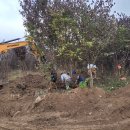 김성환농장 이미지