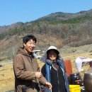 야콘부부농장 이미지