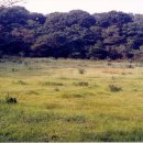 신례1리 이미지