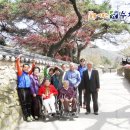 삼성수치과 네이버블로그