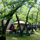 무지개 서는 마을 이미지