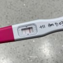 달아오름 | [임준] 시험관 1차 동결이식후기, 임테기 진하기 비교 증상기록...