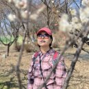 2026.3.28(토) 국토횡단 도보여행 (원주 중앙시장~금대삼거리) 13km~ 진행자 후기 이미지