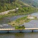 아리랑열차 연계형 시티투어2 이미지