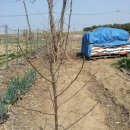 대봉목장 이미지