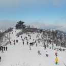 LG무주