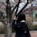 커즈바이