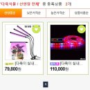 비타민다육