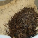 장광현농장 이미지