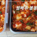 상큼 아삭한 쌈배추 봄동김치 이미지