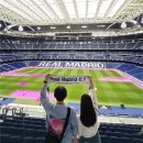 주경기장 잔디구장 | 스페인 레알 마드리드 홈구장 <산티아고 베르나베우> 경기장 투어 후기 :: 입장 방법 투어 시간 내돈내산