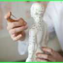 분당마중한의원 | 한약 치료는 기혈 순환 개선, 근육과 인대 강화, 염증 완화합니다