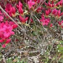 삼송로205번길 이미지