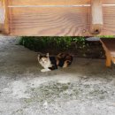 상기마을회관 이미지