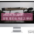 첼로와 거문고 이미지