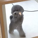 복싱번짐 | 나도 봤다, 킹키부츠! 내 삶을 구해준 구원자.