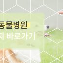 정담병원 네이버블로그