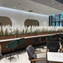 카페뉴욕 이미지