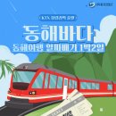 동해여행사 이미지