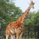 영훈목장 이미지