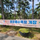 옥계해변북쪽 | [강릉해수욕장 개장시간]#강릉바다 #강릉수영 #강릉바닷가수영 #경포대 #경포해수욕장 #정동진해수욕장...