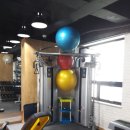 파인짐(FINE GYM) 이미지