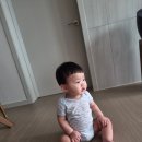 복똥이강아지 네이버블로그