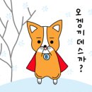 신사꽃등심(호평직영점)