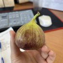 6. 계곡에서 포토덤프