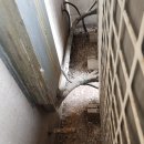 방배로32길 103-13 이미지