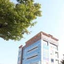 다나내과 네이버블로그