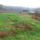 자연농원여명 이미지