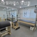 리나필라테스 | 당산동필라테스 리나숨필라테스 당산점 방문후기