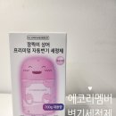 에코클리너 | 화장실 변기 청소는 변기클리너 에코리멤버 분홍이 사용 후기