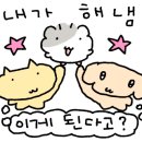 제이디 골프 연습장 이미지