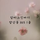 담아스킨바디